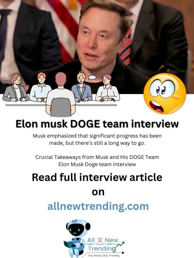 elon musk doge team interview story
