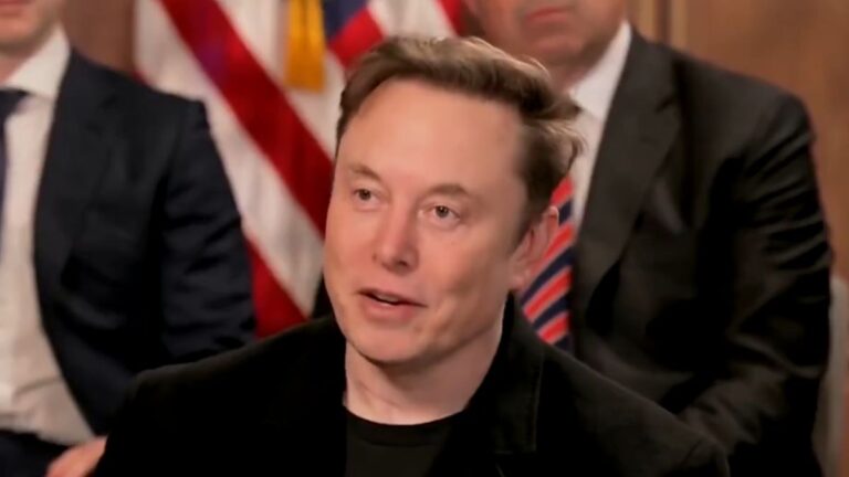 elon musk doge team interview