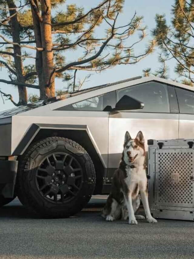 tesla truck