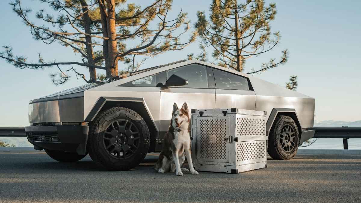 tesla truck