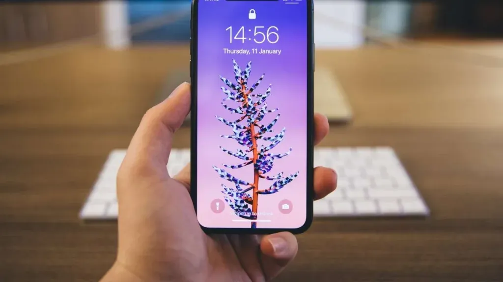 iphone 17 release date expected